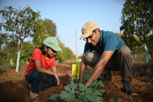 Farmers Harvesting